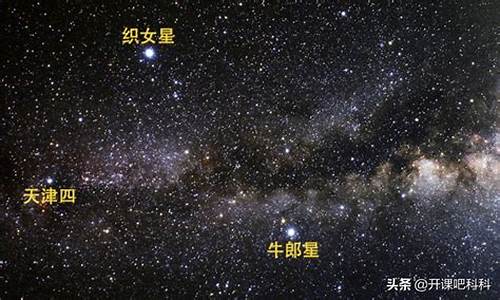 牛郎星是什么星座-牛郎星是什么星座中最亮的星